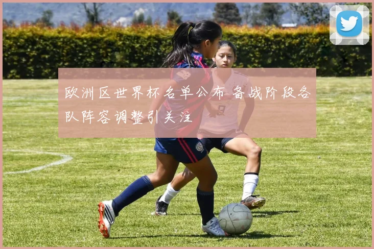 欧洲区世界杯名单公布 备战阶段各队阵容调整引关注
