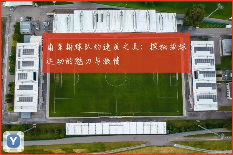 南京排球队的速度之美：探秘排球运动的魅力与激情