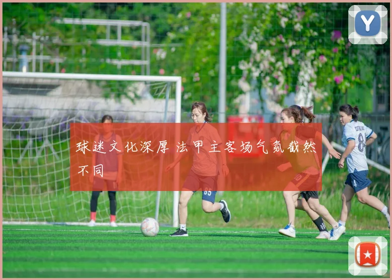 球迷文化深厚 法甲主客场气氛截然不同