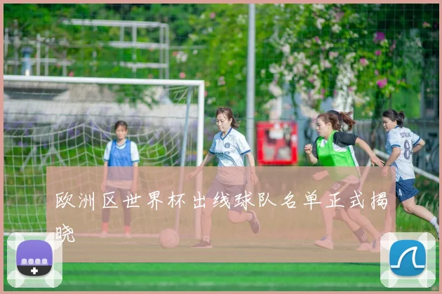 欧洲区世界杯出线球队名单正式揭晓