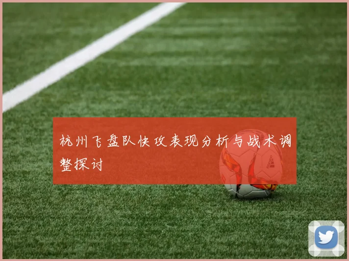 杭州飞盘队快攻表现分析与战术调整探讨
