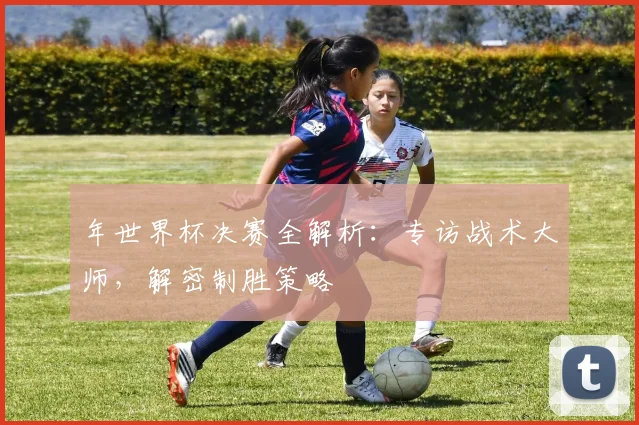 年世界杯决赛全解析：专访战术大师，解密制胜策略