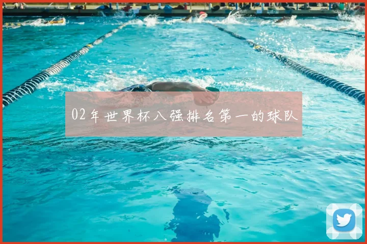02年世界杯八强排名第一的球队