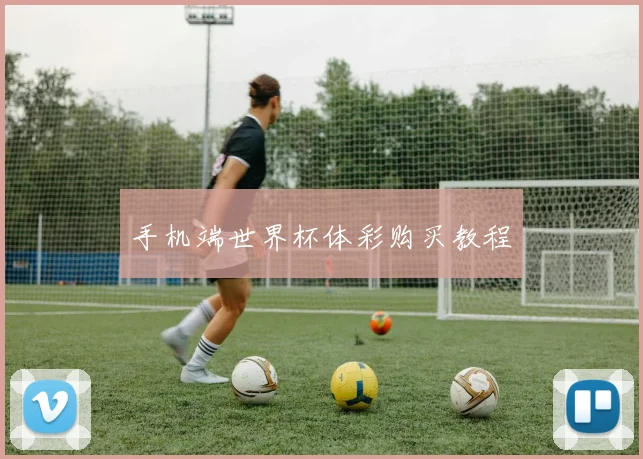 手机端世界杯体彩购买教程